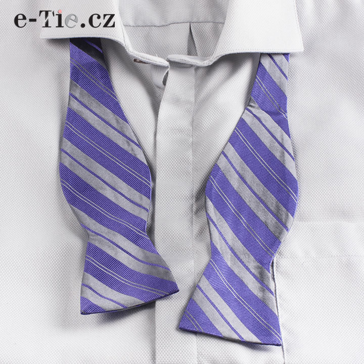 Motýlek Chuck Violet