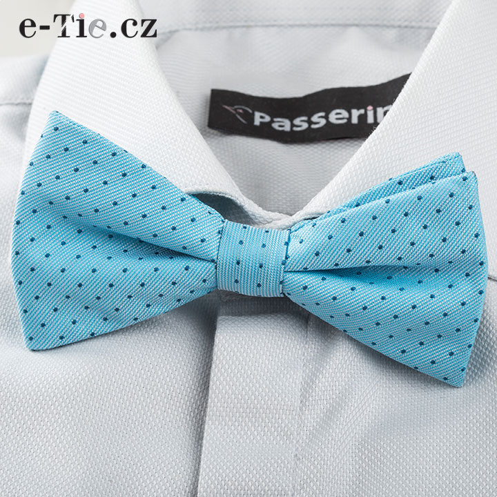 Motýlek Raoul Blue