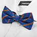 Motýlek Randolf Blue