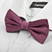 Motýlek Ray Burgundy