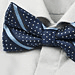 Motýlek Alfred Blue Stripe Dot